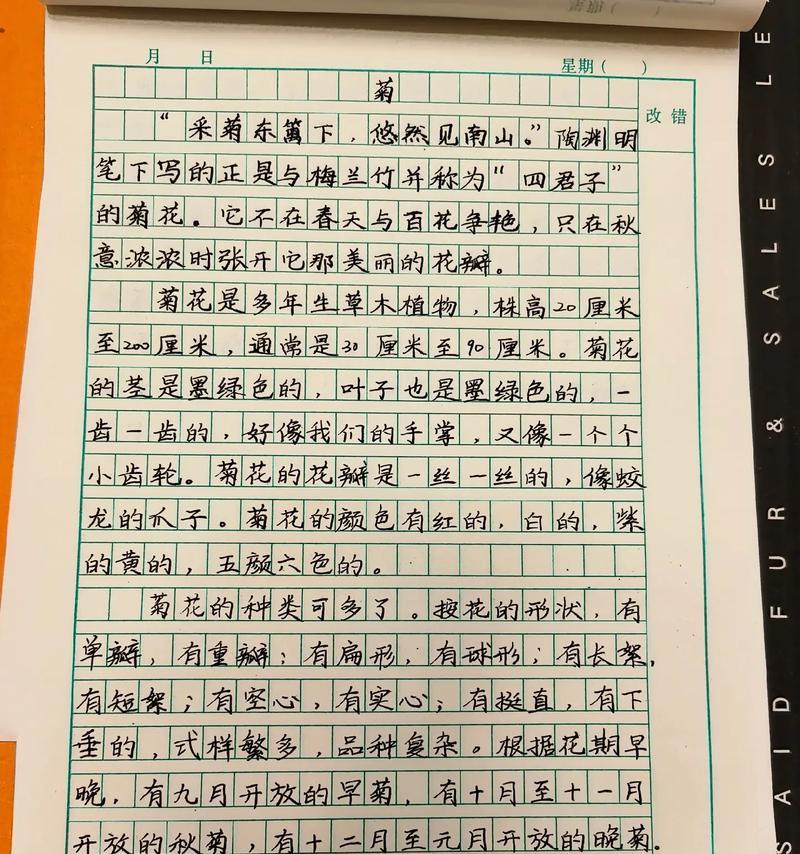 菊花说明文500字图片