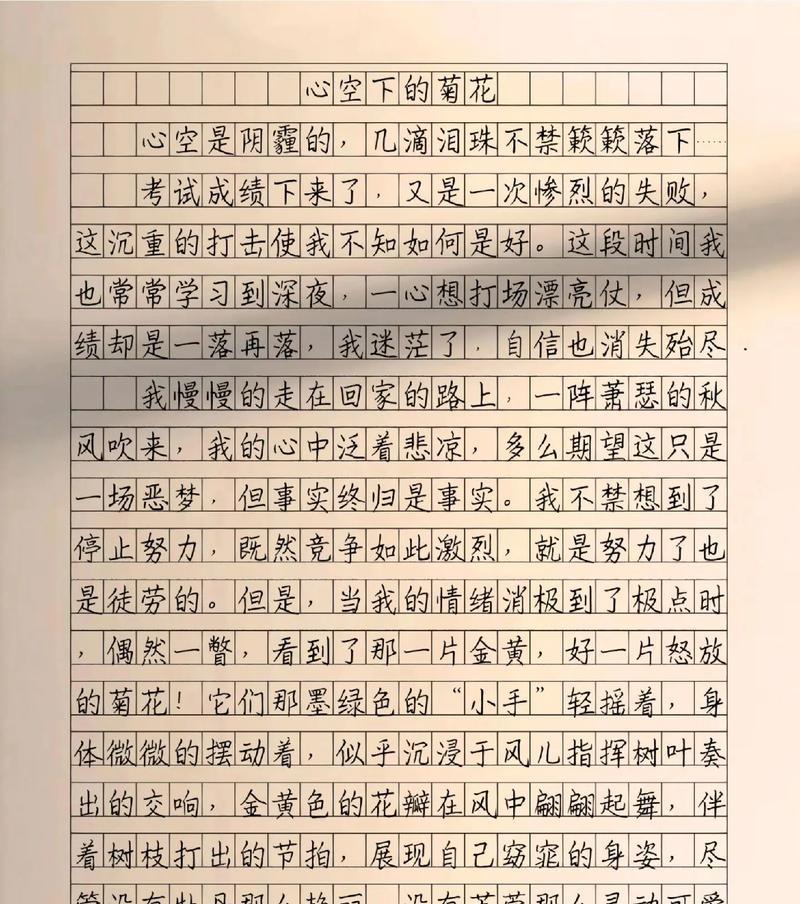 菊花说明文500字图片