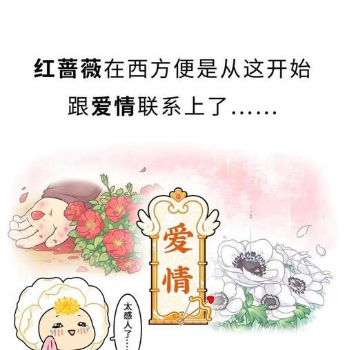 女朋友送蔷薇玫瑰花的含义是什么？它代表了什么情感？