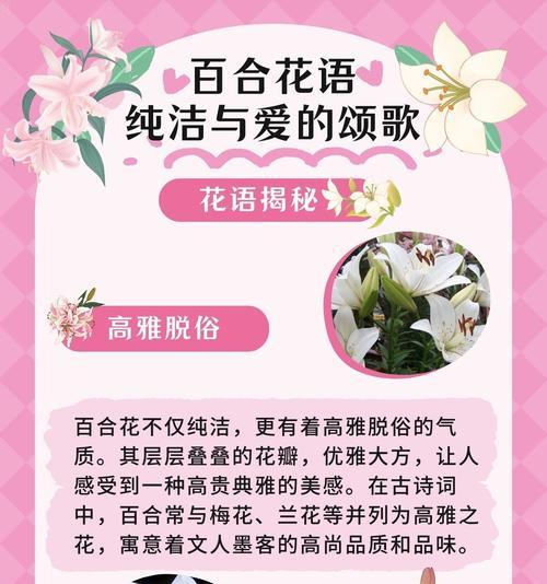 一年级学生送百合花的含义是什么？