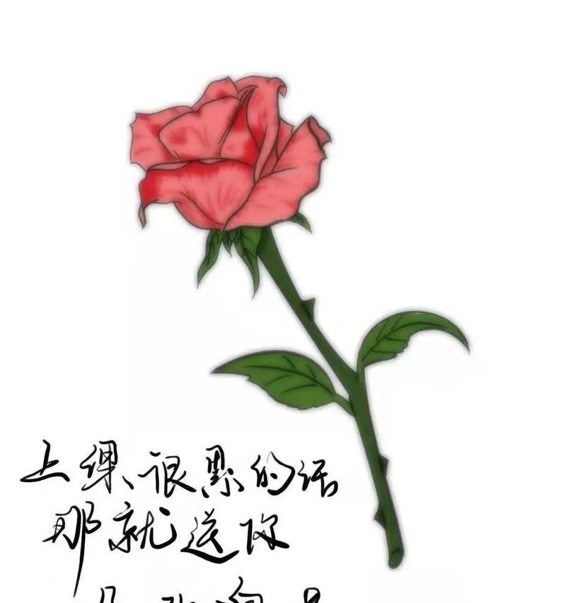 明星送玫瑰花给粉丝有何深层含义？