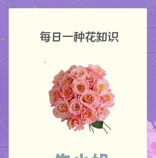 玫瑰花永不凋零是真的吗？它代表了什么意义？