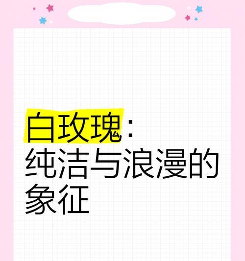 白玫瑰的象征意义是什么？为什么人们会送白玫瑰？