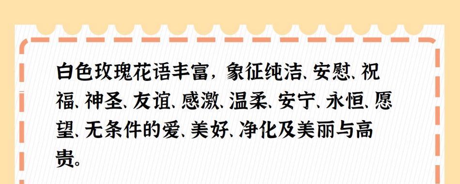 白玫瑰与柑橘花语有何不同？各自的含义是什么？