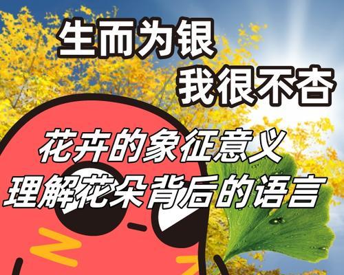 花语通常表达哪些情感或信息？