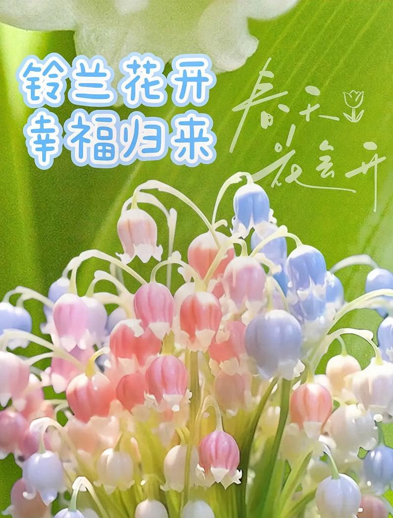 常见的花语有哪些？每种花的花语代表什么意义？