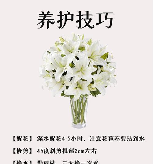 玫瑰配百合代表什么？它们的花语有何深意？