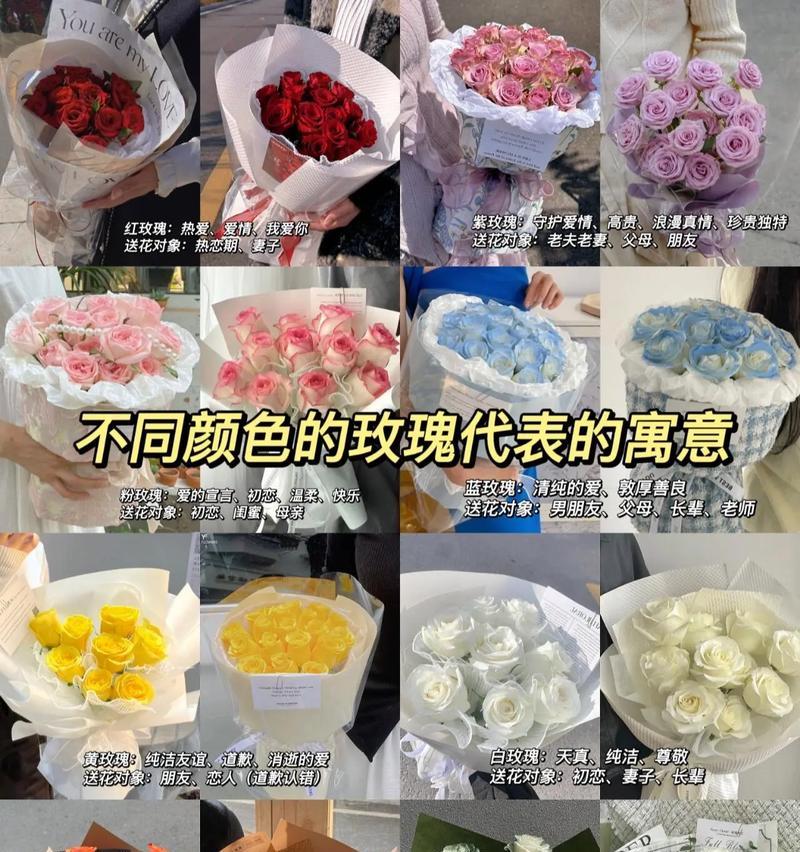 玫瑰花颜色变化代表什么？