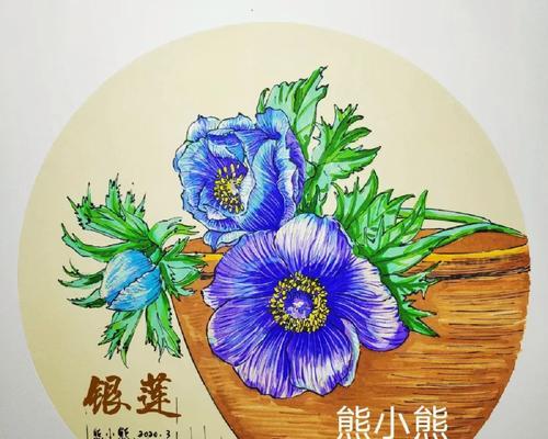 小绿熊花卉代表了什么？