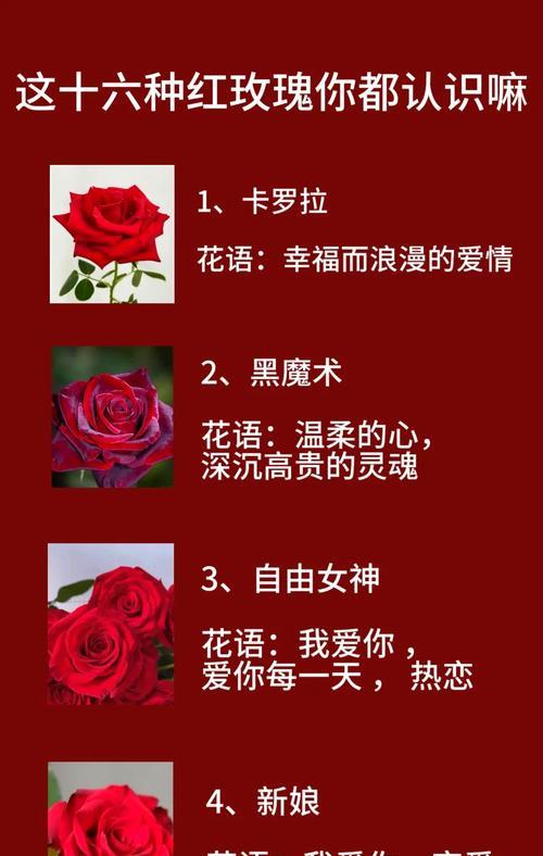 21朵玫瑰代表的花语有哪些？