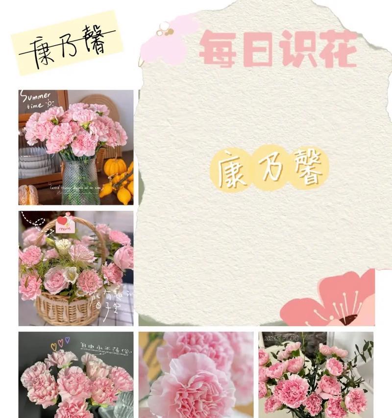 11朵康乃馨粉红玫瑰有何含义？代表什么？