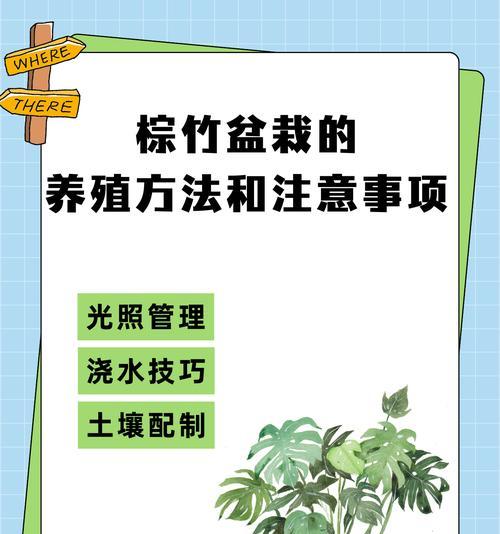 棕榈树适合与哪些植物共同养护？