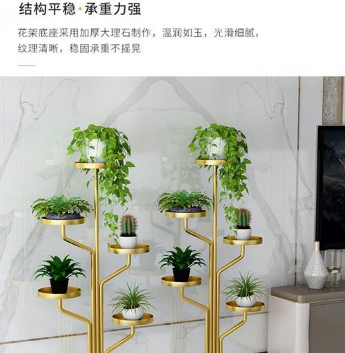 宿舍阳台植物架子安装步骤是什么？