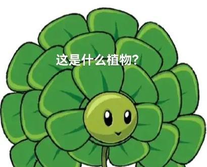 奇葩植物名字有哪些？它们的特性是什么？