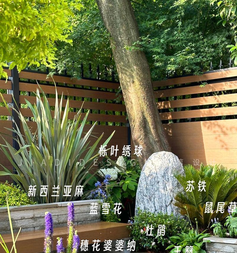 做院子时应选择哪些植物？如何搭配？