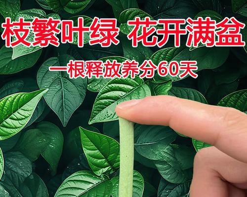 植物花卉土地通用肥料有哪些？如何选择合适的肥料？