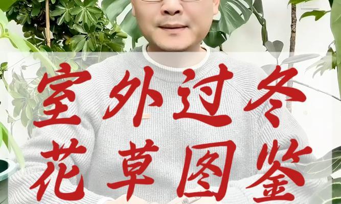 花卉抗寒抗热吗为什么不能养？它们的适应环境是怎样的？