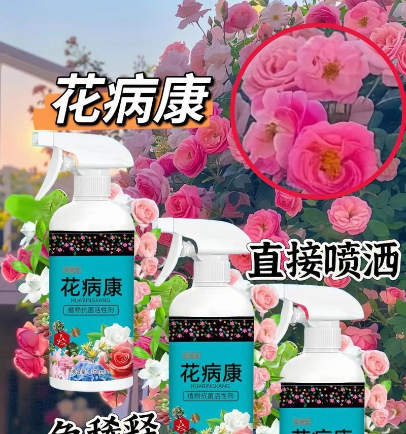 植物杀虫的有效方法有哪些？如何预防虫害？