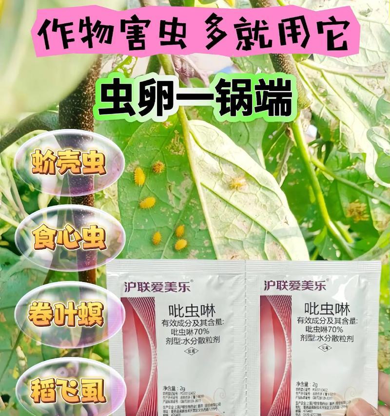 植物杀虫的有效方法有哪些？如何预防虫害？