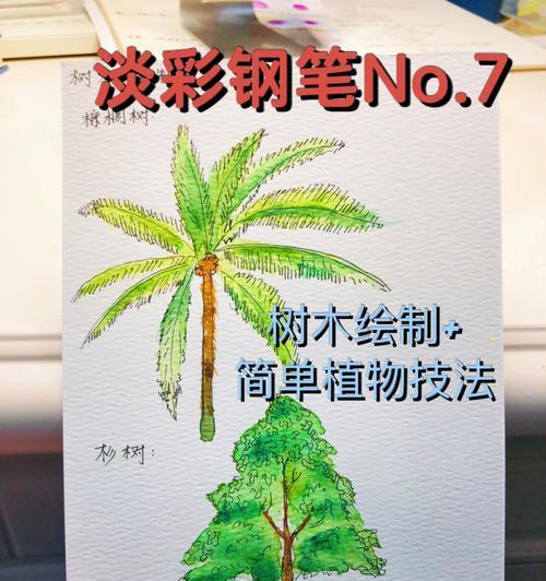 怎样绘制简单迷你植物？