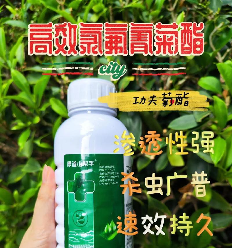 哪种花卉杀虫剂效果最好？使用时应注意什么？