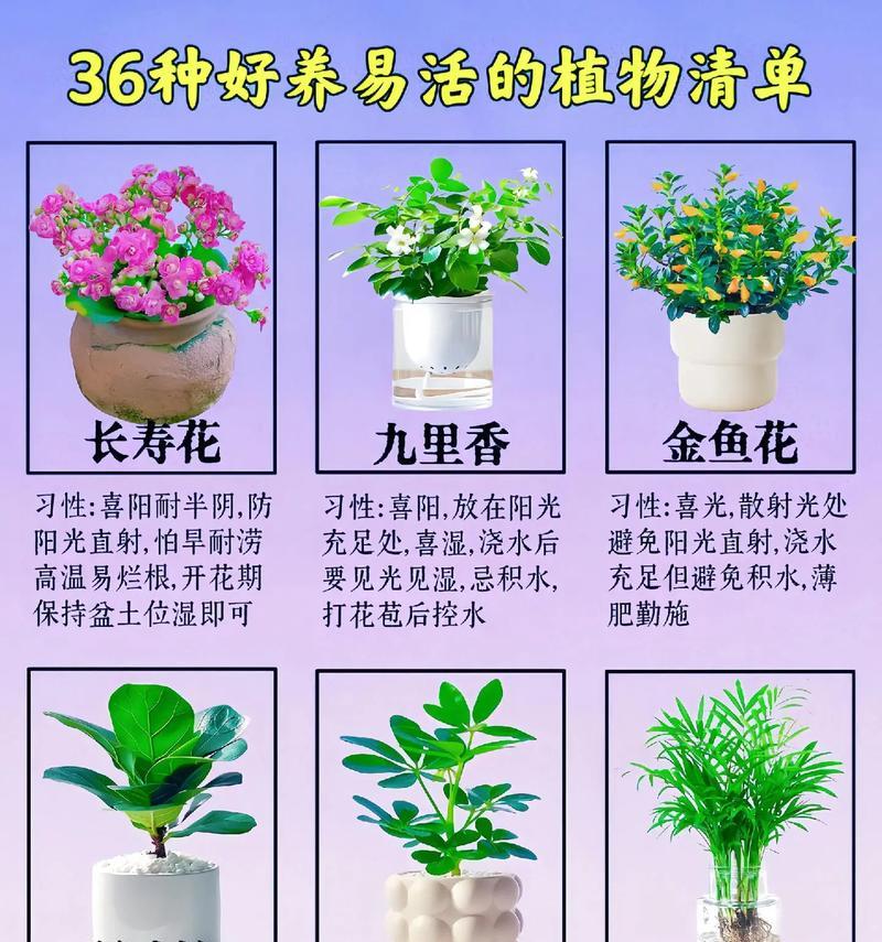 需要氧气少的花卉有哪些？这些花卉的特殊养护要点是什么？