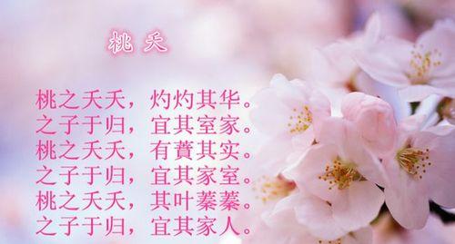 为什么桃花没有花语呢？桃花真的没有特定的花语吗？