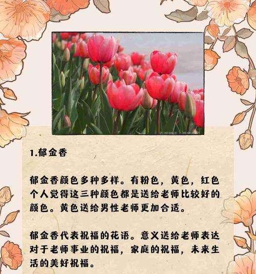 花语搭配大全中寓意的花有哪些？它们各自代表什么？