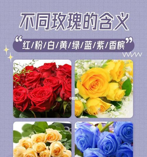 情人节奇怪花语有哪些？它们各自代表了什么含义？