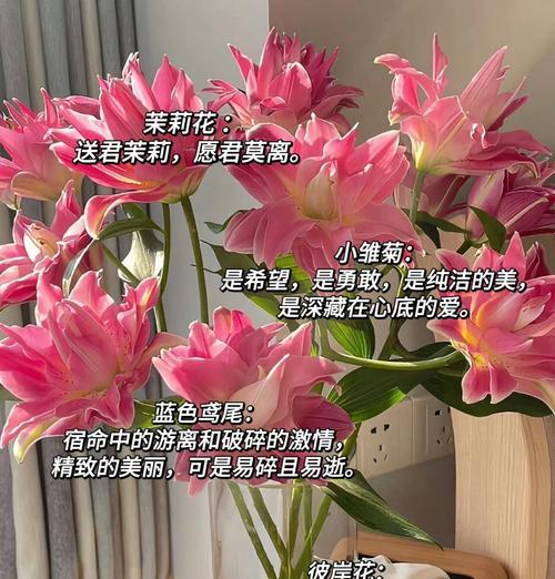 情人节奇怪花语有哪些？它们各自代表了什么含义？